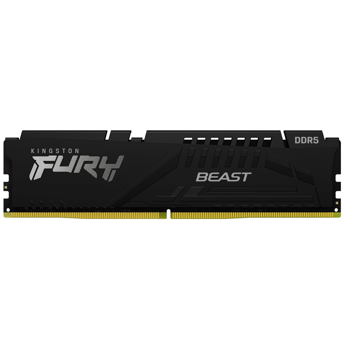 Kingston FURY Beast KF556C36BBE-16 16GB (1x 16GB) DIMM System Memory, 5600MHz, DDR5, CL36, Black, Intel XMP, AMD EXPO