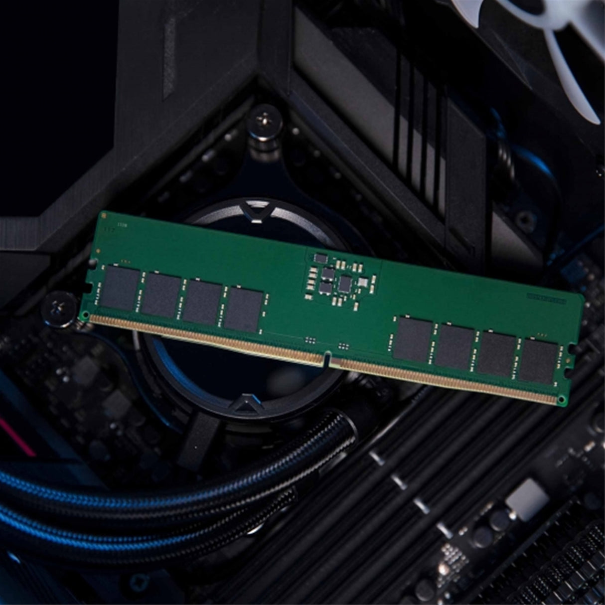 Kingston KCP556US8-16 16GB (1x 16GB) DIMM System Memory, 5600MHz, DDR5, CL46